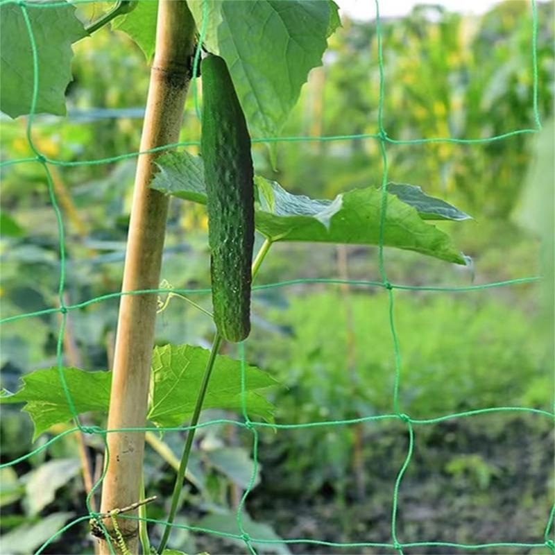 Siatka ogrodowa Krata podporow – Agriculture Farming Net recenzja i cena