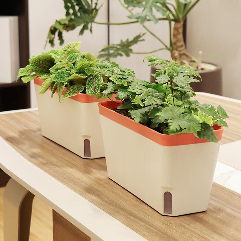 Wielofunkcyjna dwuwarstwowa do – Vegetable Transplanter recenzja i cena