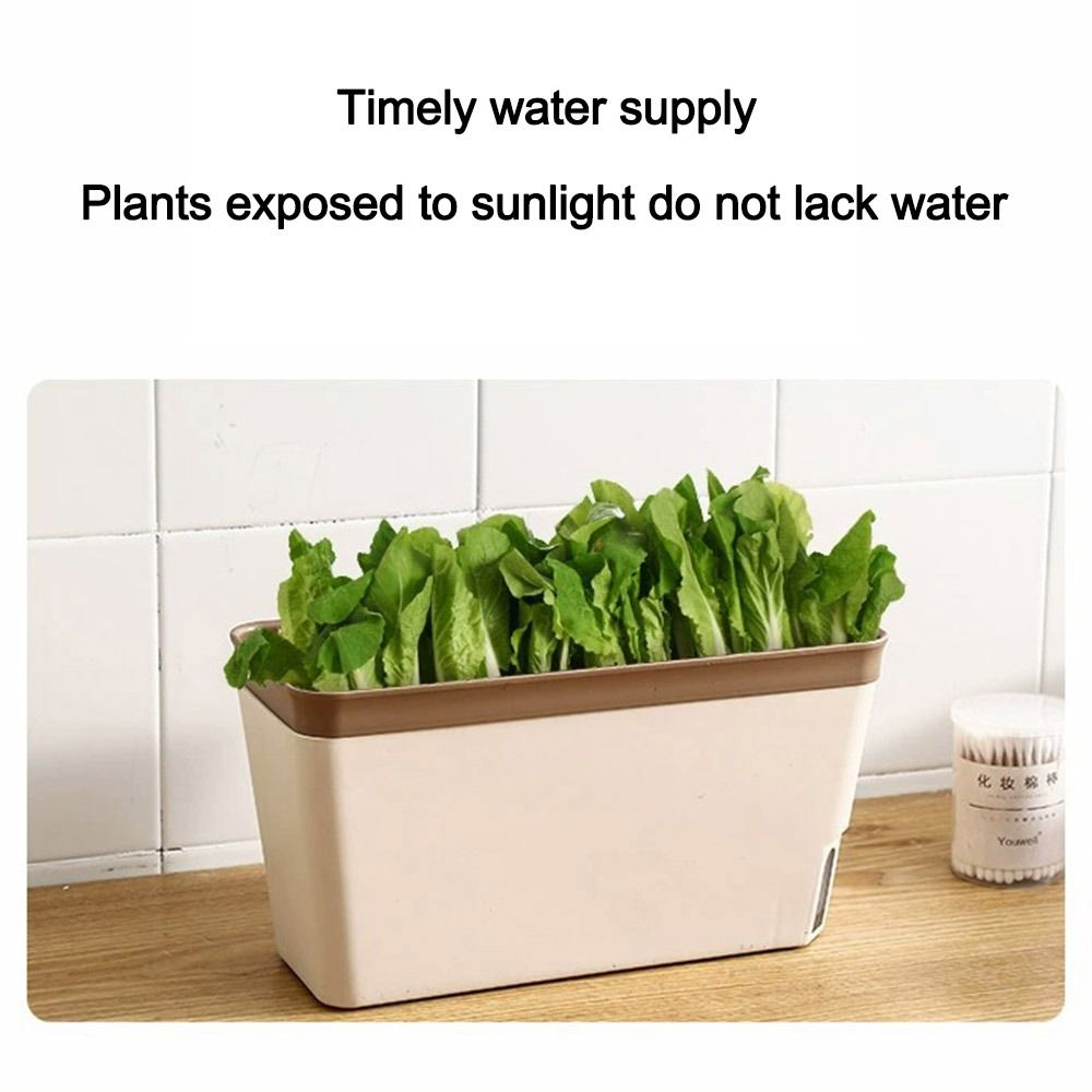 Wielofunkcyjna dwuwarstwowa do – Vegetable Transplanter recenzja i cena