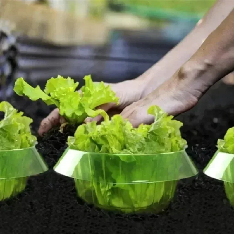 Ochrona roślin przed ślimakami – Vegetable Transplanter recenzja i cena