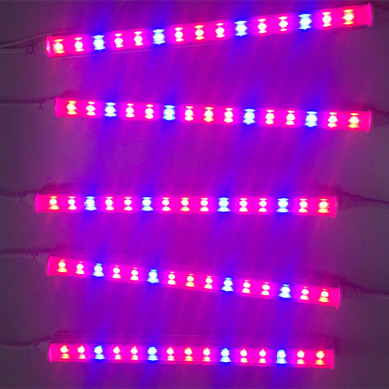 1/5szt Led Plant Grow Light T5 – Vegetable Transplanter recenzja i cena